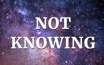 NOT-KNOWING2